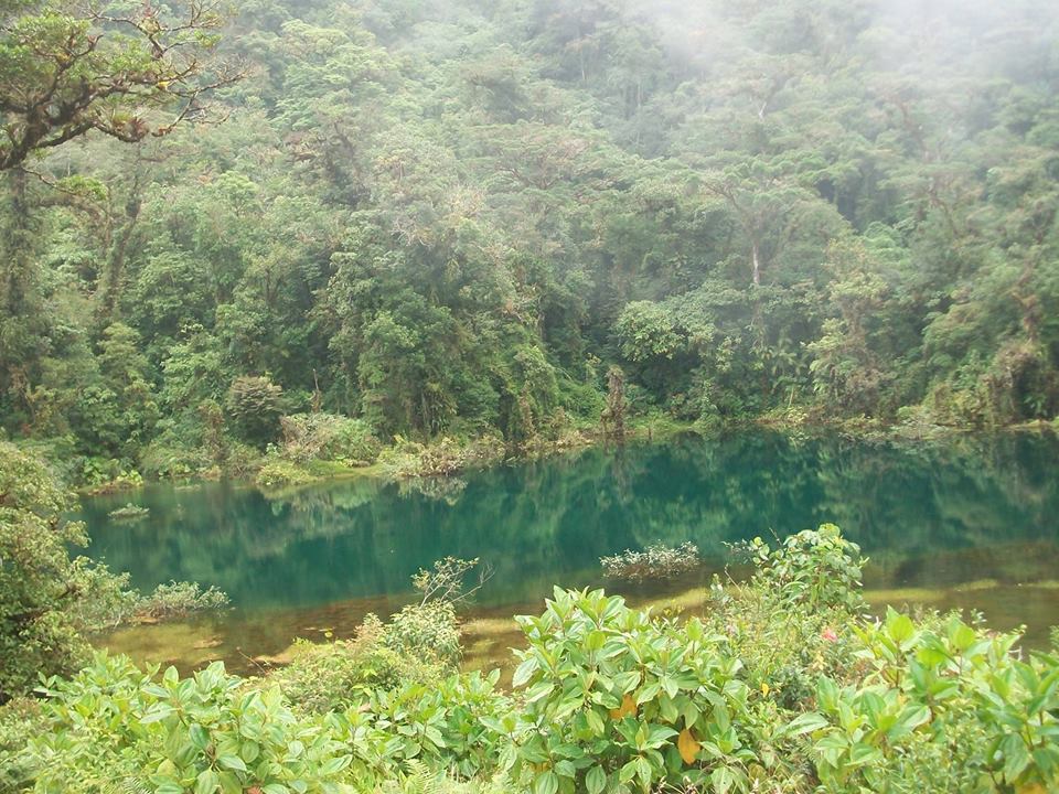 哥斯达黎加国家公园完整指南-胡安·卡斯特罗·布兰科