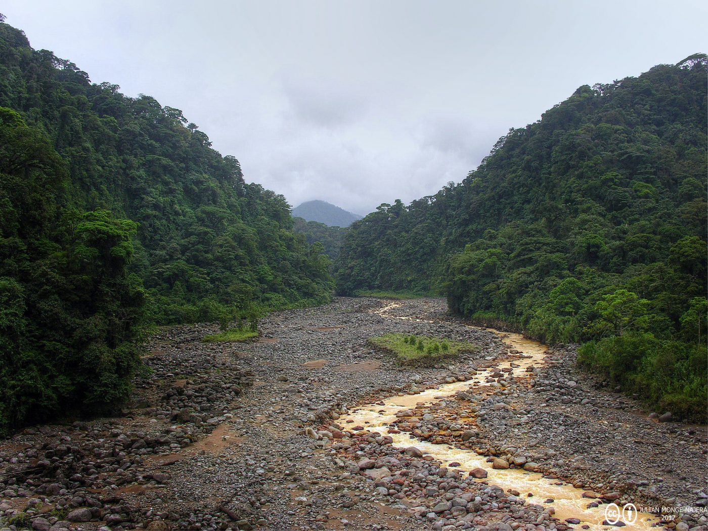 哥斯达黎加国家公园完整指南-布劳里奥