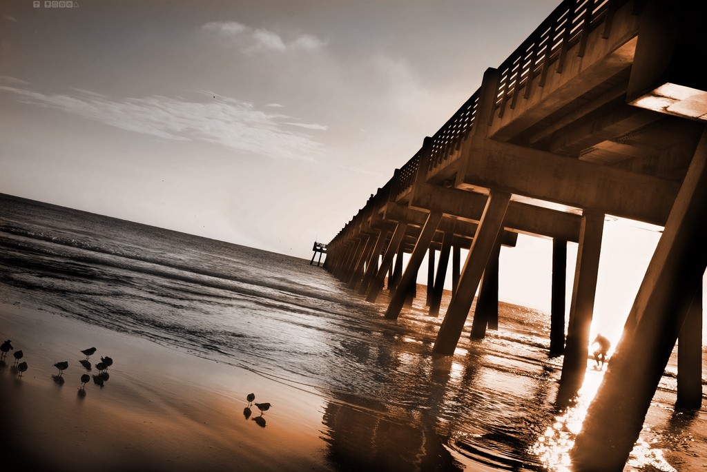 大西洋海滩，杰克逊维尔，佛罗里达州。图片来自Flickr CC by DeusXFlorida