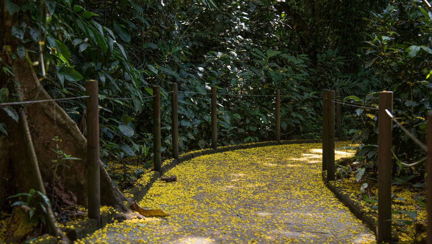 哥斯达黎加国家公园完整指南-卡拉拉
