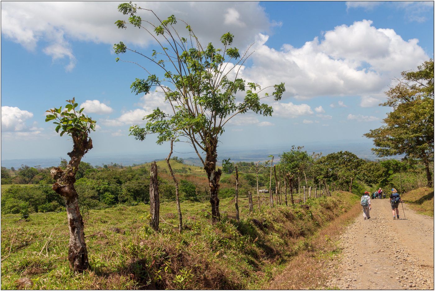 哥斯达黎加国家公园完整指南