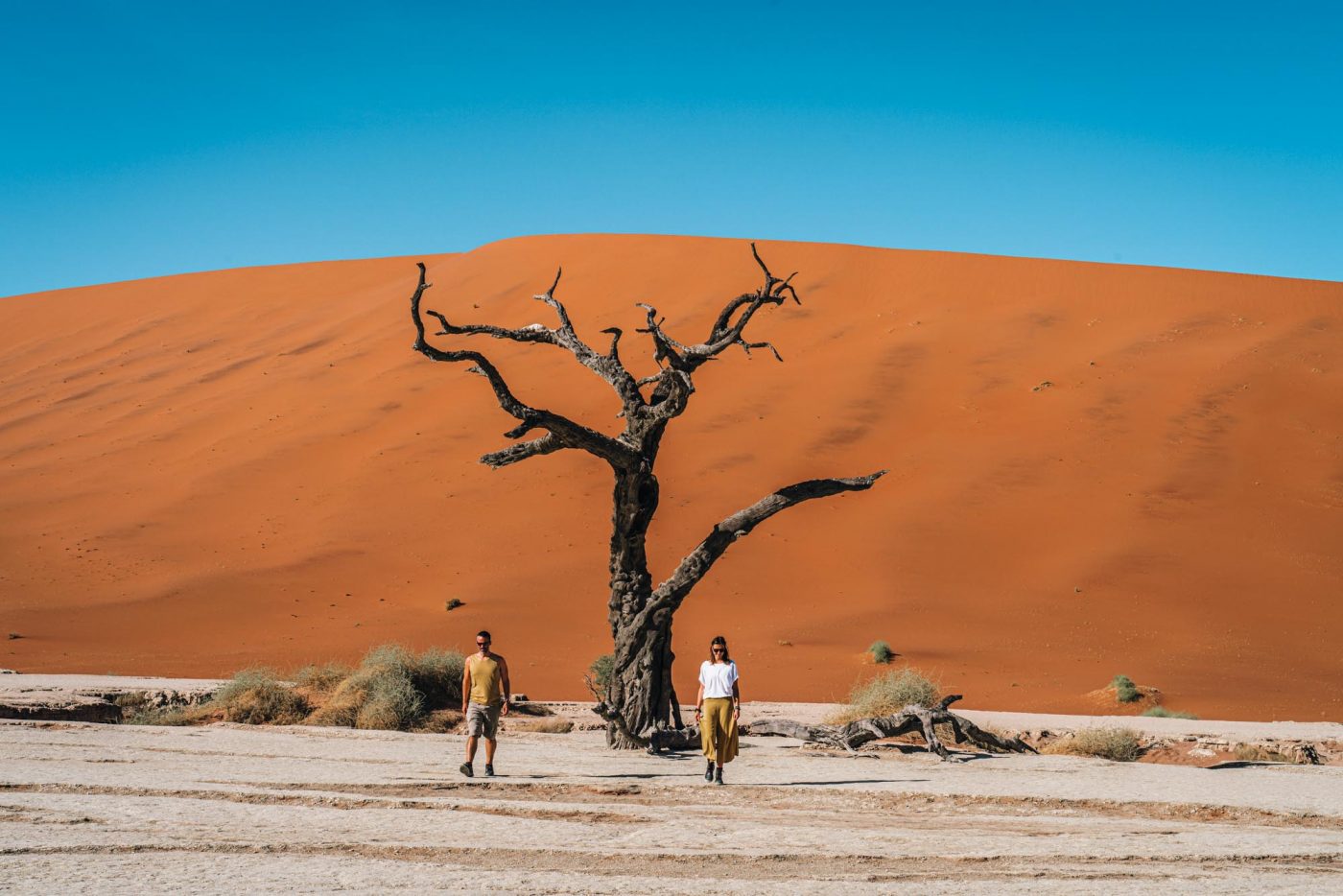 Deadvlei, Sossusvlei是纳米比亚最具标志性的旅游目的地