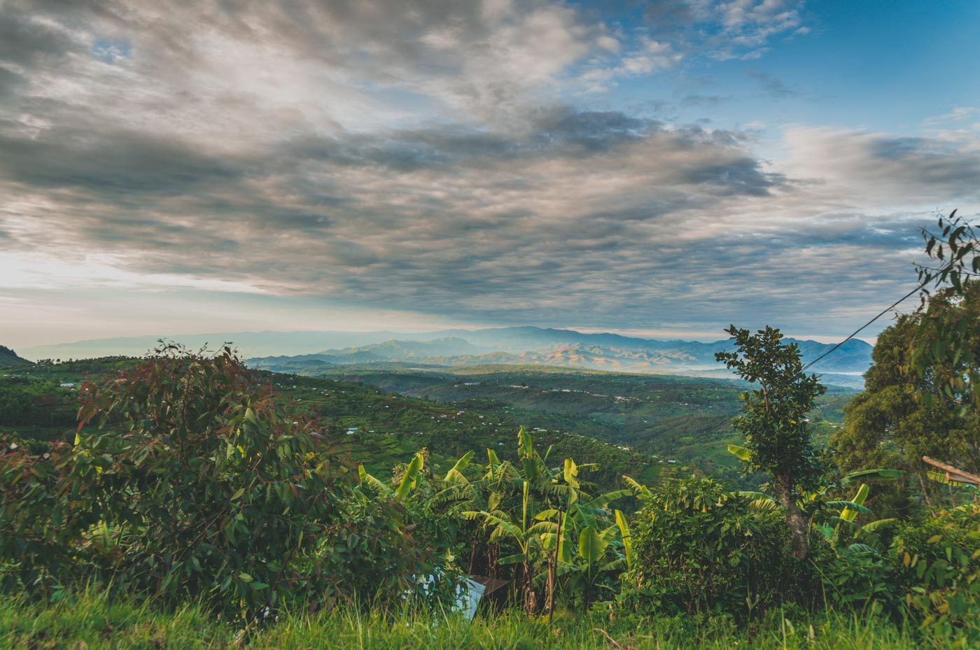 为什么你应该去卢旺达的火山国家公园