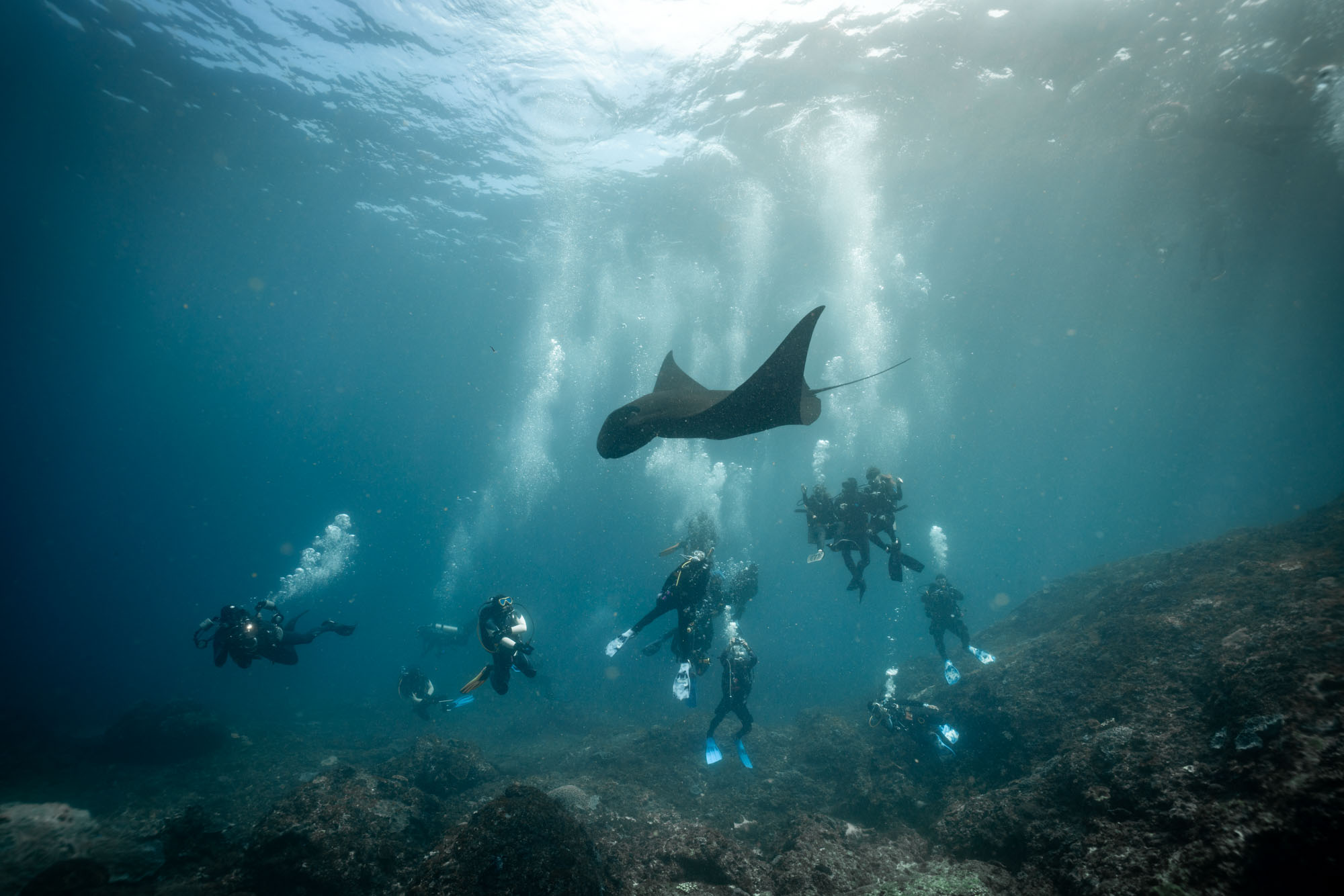 巴厘岛潜水指南&巴厘岛10个你不想错过的最佳潜水地点