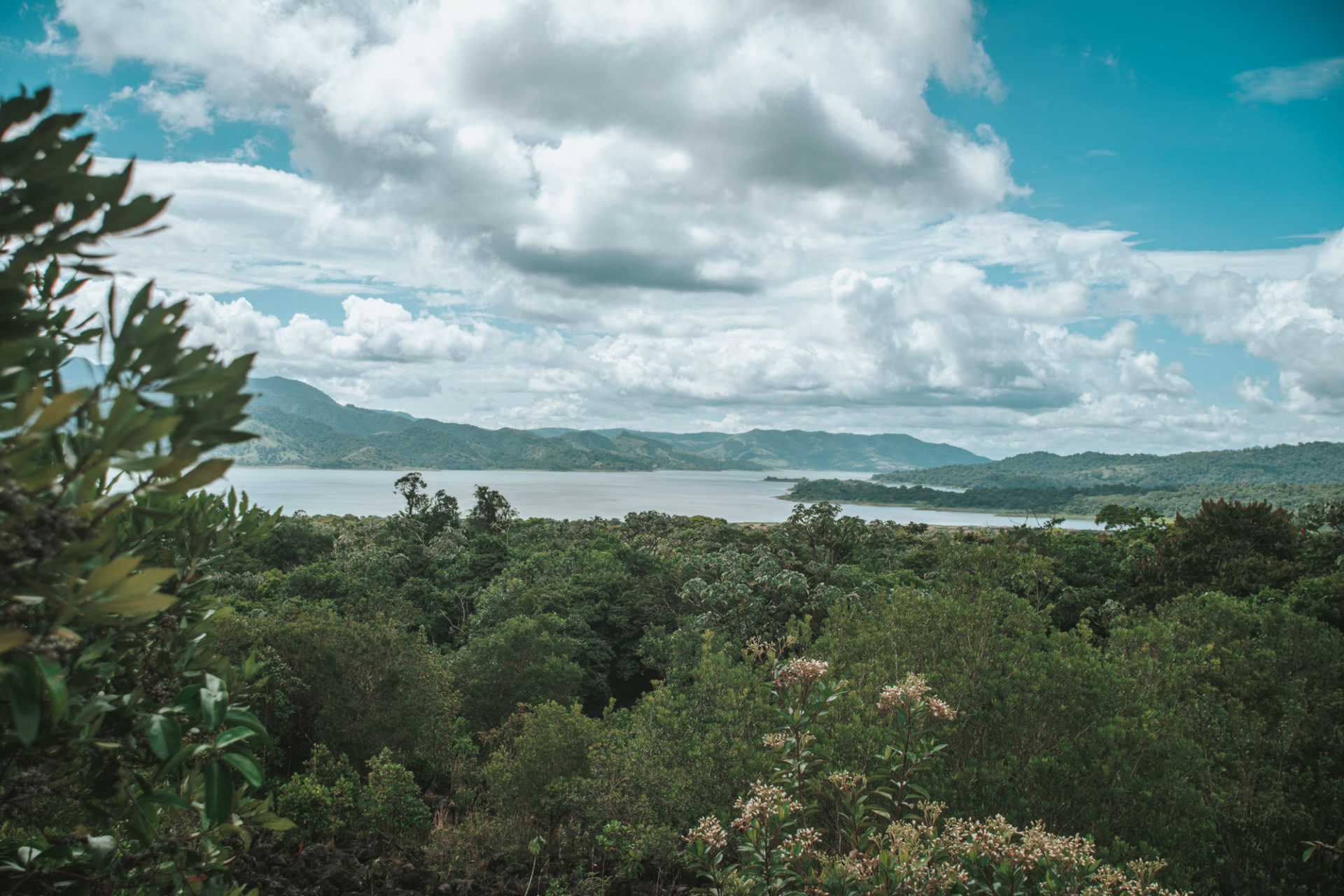 从阿雷纳尔火山国家公园的小径上俯瞰阿雷纳尔湖，哥斯达黎加拉福尔纳