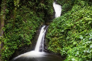 哥斯达黎加蒙特维德云雾森林保护区参观理由