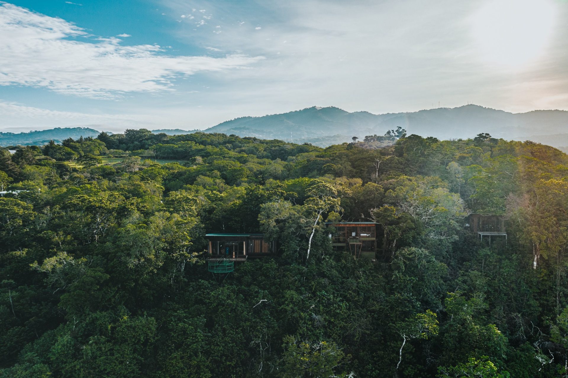 蒙特维德云森林，哥斯达黎加