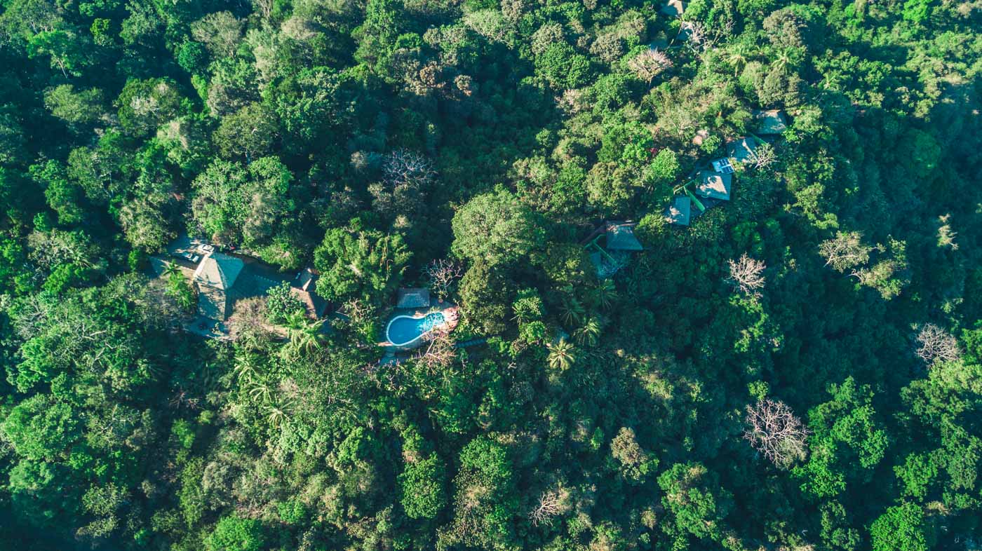 哥斯达黎加奥萨半岛生态旅馆:拉帕里奥斯是该地区可持续旅游的领导者