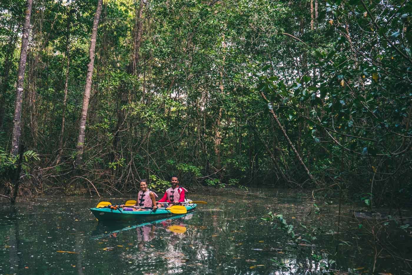 哥斯达黎加行程:在奥萨半岛的红树林划皮艇