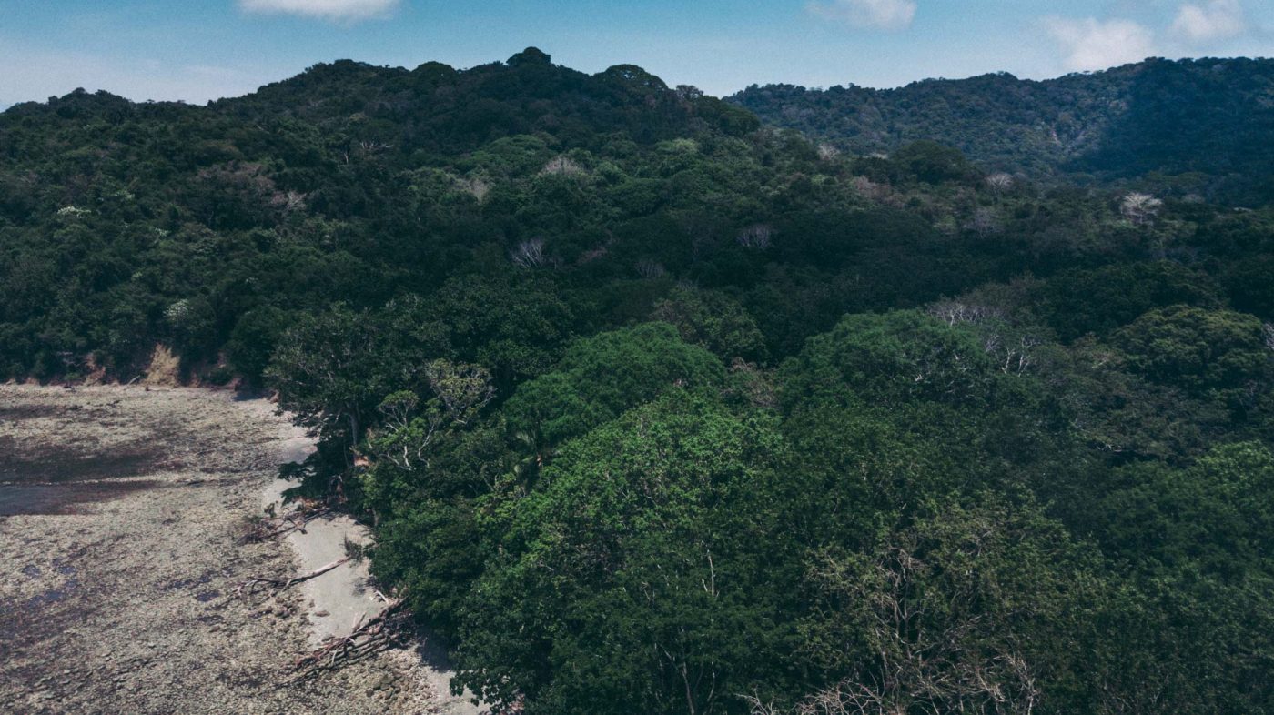 哥斯达黎加圣特蕾莎旅游必做之事:俯瞰卡波布兰科自然保护区