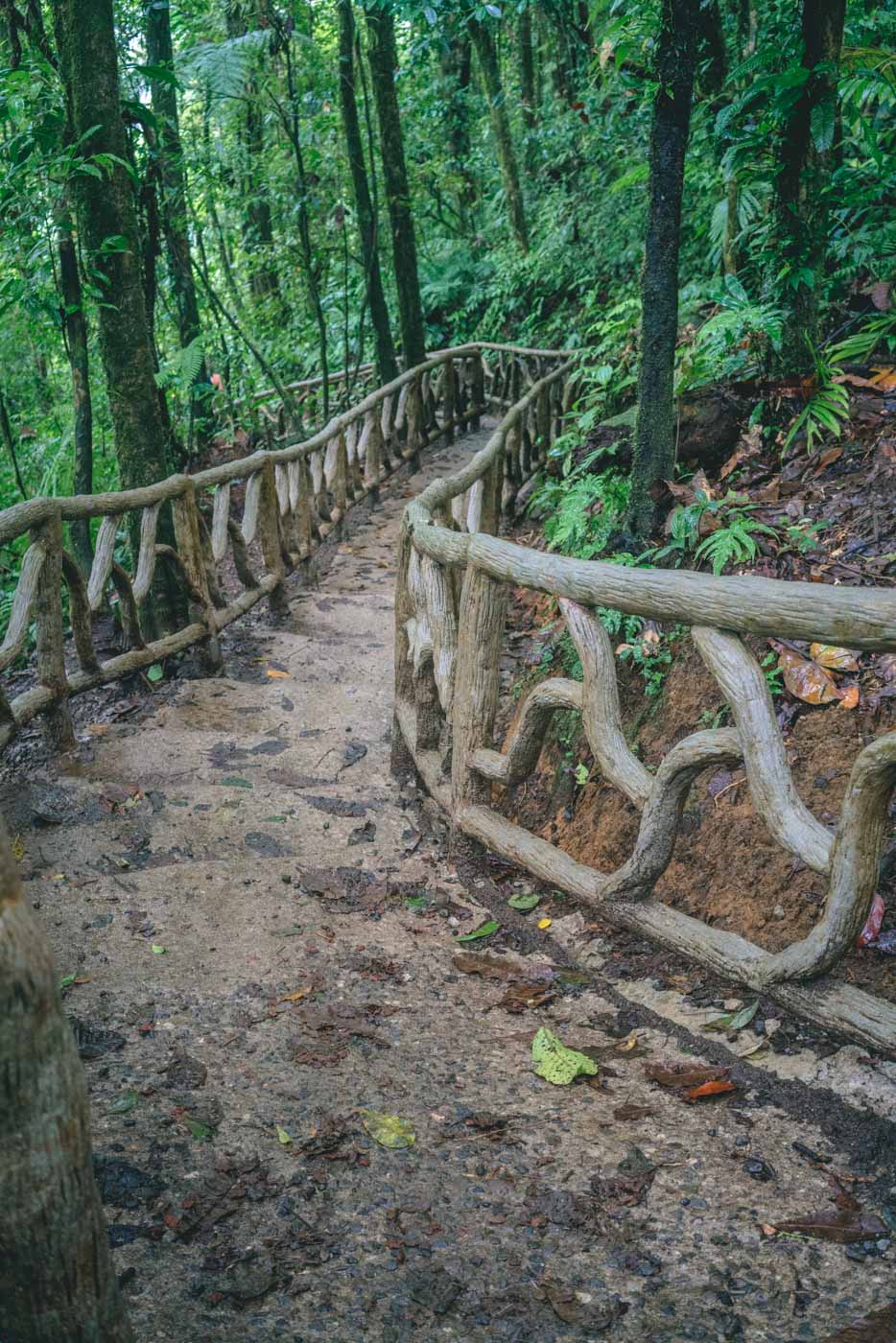 哥斯达黎加:Tenorio国家公园