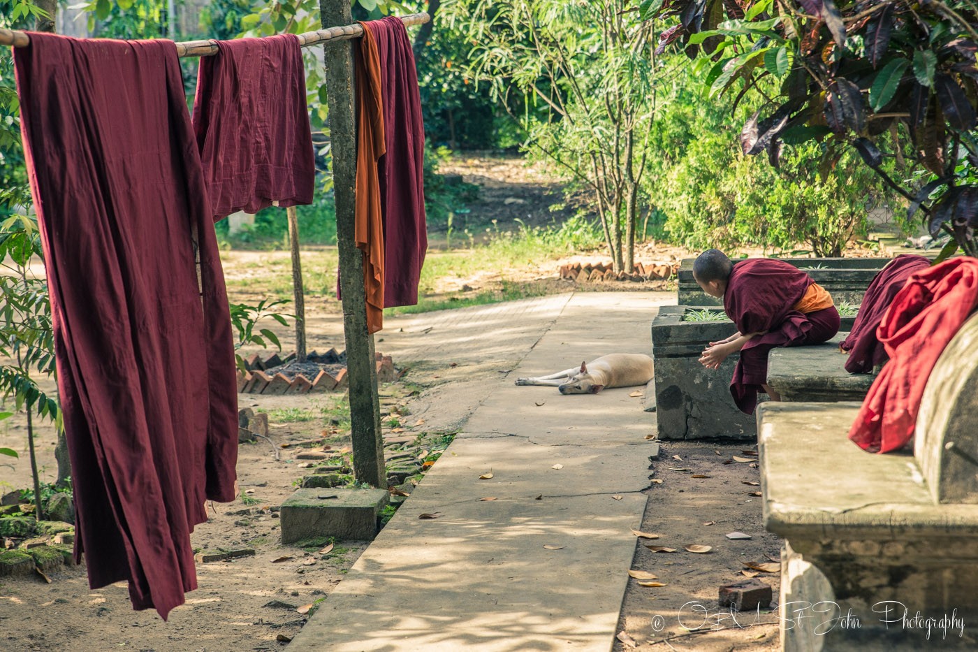仰光3日游:仰光寺庙里的和尚。缅甸