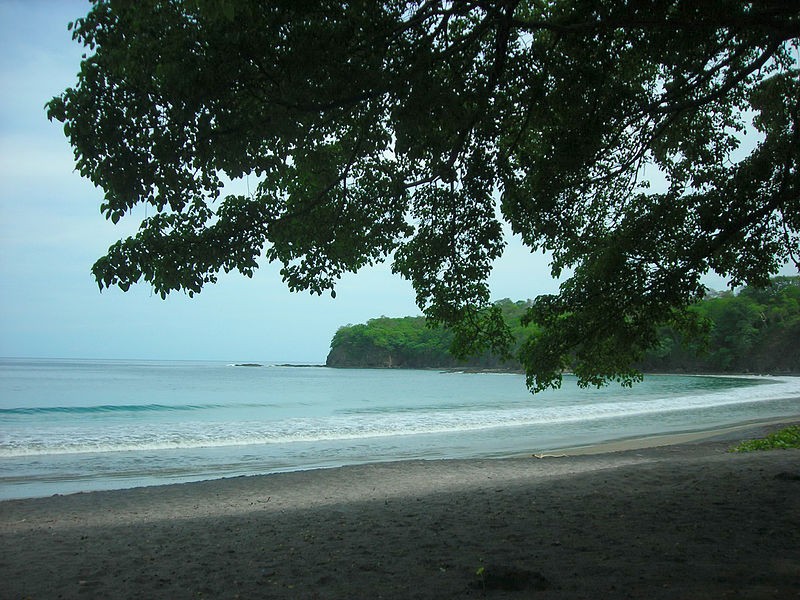 在哥斯达黎加，帕帕加约半岛潜水指南