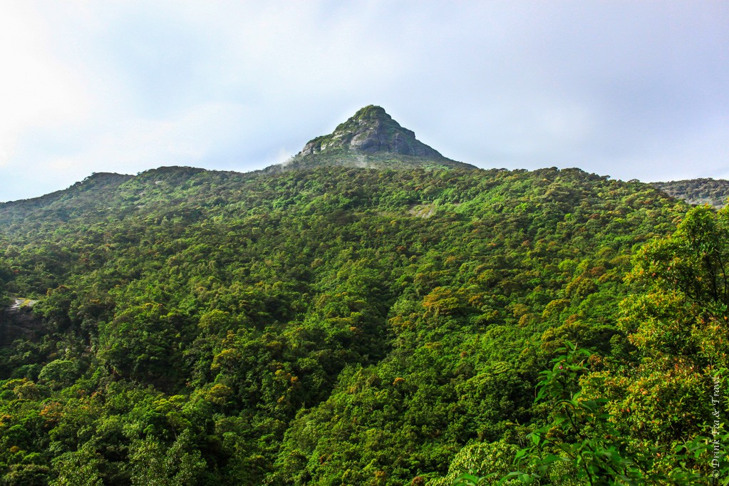 攀登亚当峰:亚当峰是斯里兰卡的圣山