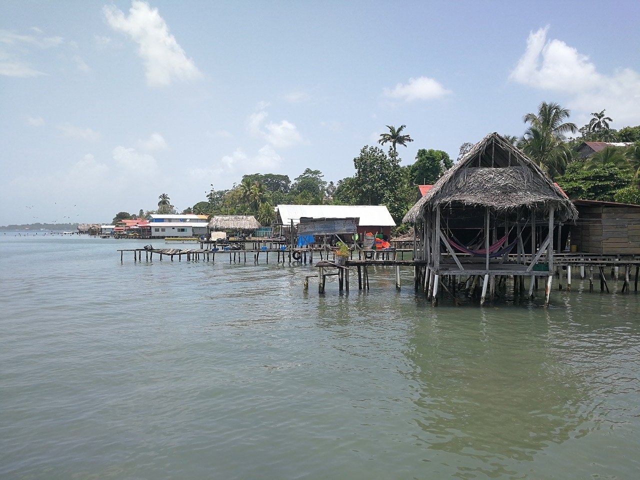 Isla Bastimentos, Bocas del Toro，巴拿马