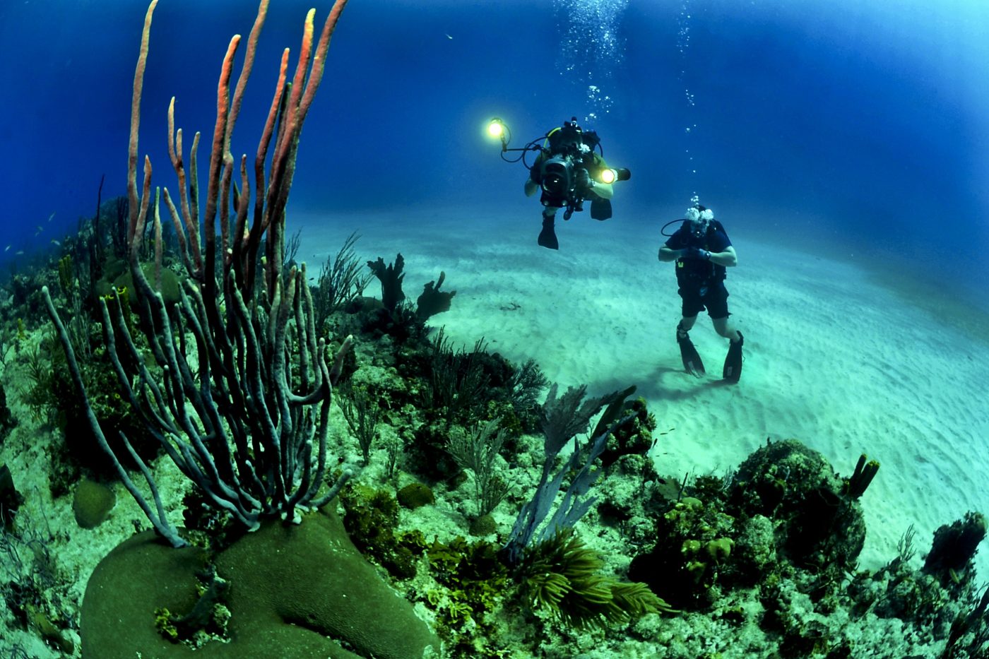 潜水，哥斯达黎加，太平洋边