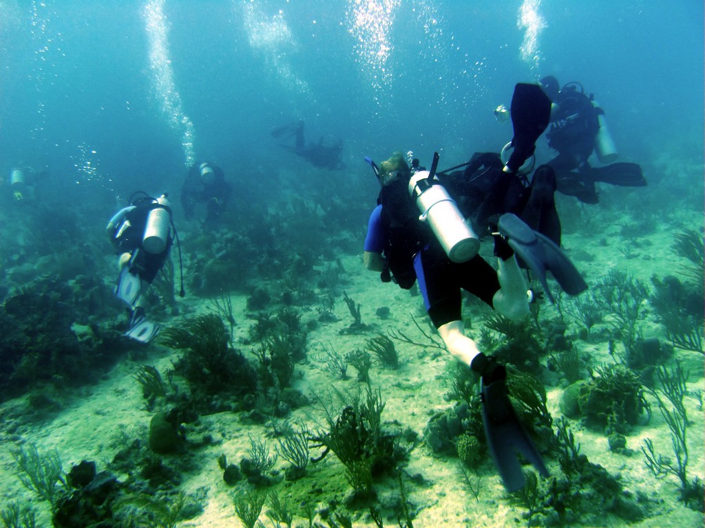 哥斯达黎加潜水指南，漂移潜水