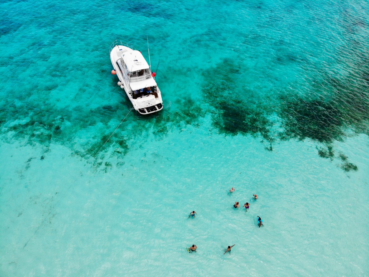加勒比海最好的潜水