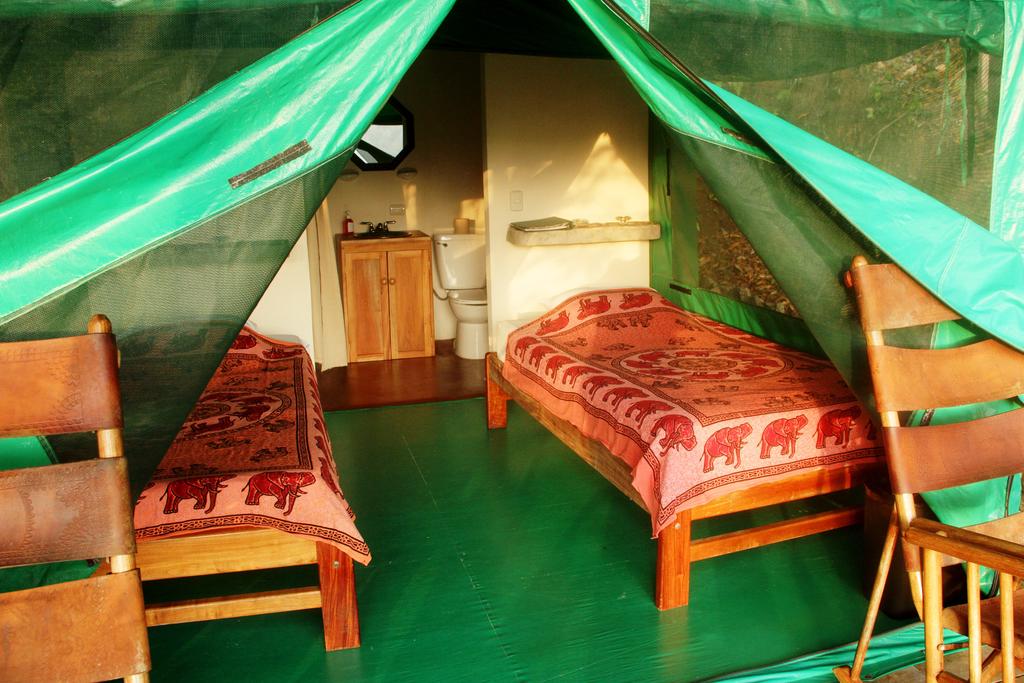 奥萨半岛生态小屋:位于奥萨半岛的Luna lodge的沉浸式房间。摄影:Luna Lodge